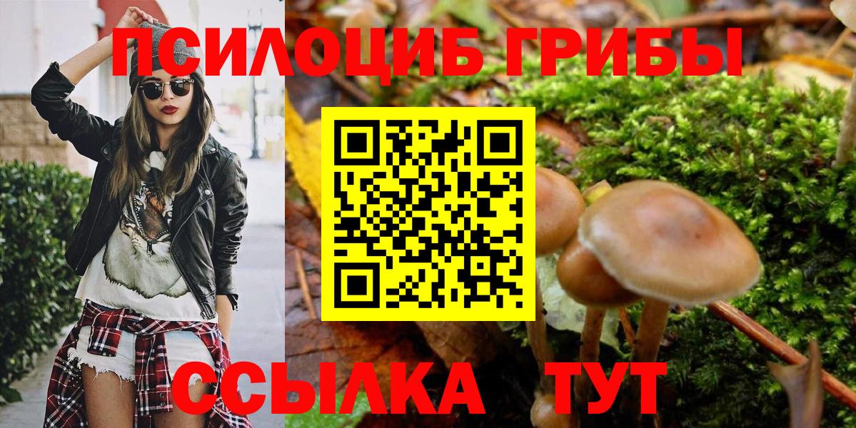 Углич  даркнет сайт  Вход с VPN  Псилоцибиновые грибы Magic Shrooms 